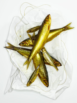 JAN C. BRETTSCHNEIDER