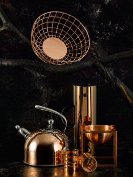 JAN C. BRETTSCHNEIDER