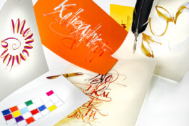 JAN C. BRETTSCHNEIDER