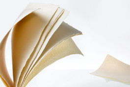 JAN C. BRETTSCHNEIDER