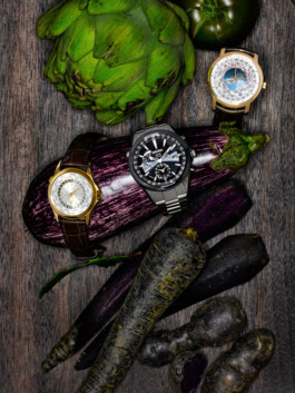 JAN C. BRETTSCHNEIDER