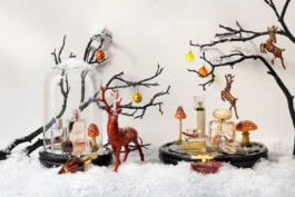 JAN C. BRETTSCHNEIDER