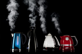 JAN C. BRETTSCHNEIDER