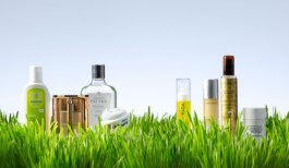 JAN C. BRETTSCHNEIDER