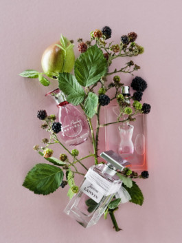 JAN C. BRETTSCHNEIDER