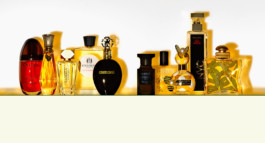 JAN C. BRETTSCHNEIDER