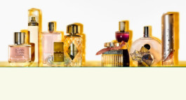 JAN C. BRETTSCHNEIDER