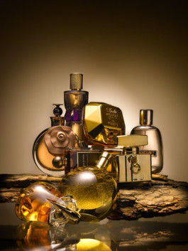 JAN C. BRETTSCHNEIDER