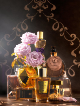 JAN C. BRETTSCHNEIDER