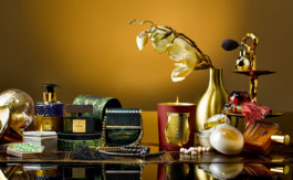 JAN C. BRETTSCHNEIDER