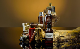 JAN C. BRETTSCHNEIDER