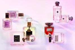 JAN C. BRETTSCHNEIDER