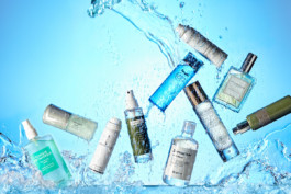 JAN C. BRETTSCHNEIDER