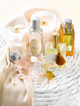 JAN C. BRETTSCHNEIDER