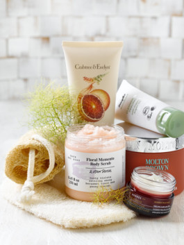 JAN C. BRETTSCHNEIDER