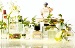 JAN C. BRETTSCHNEIDER