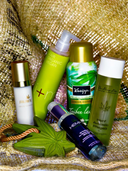 JAN C. BRETTSCHNEIDER