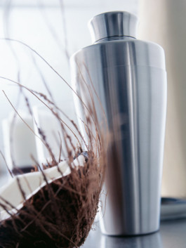 JAN C. BRETTSCHNEIDER