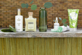 JAN C. BRETTSCHNEIDER