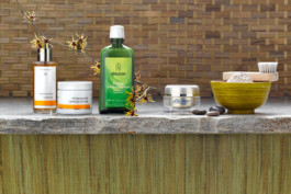 JAN C. BRETTSCHNEIDER