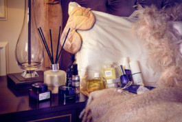 JAN C. BRETTSCHNEIDER