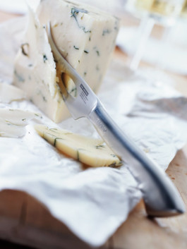 JAN C. BRETTSCHNEIDER