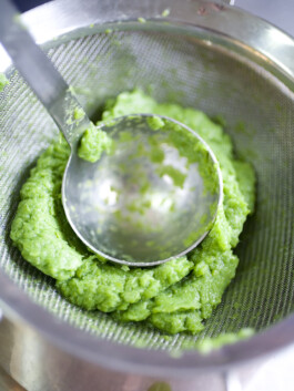 JAN C. BRETTSCHNEIDER