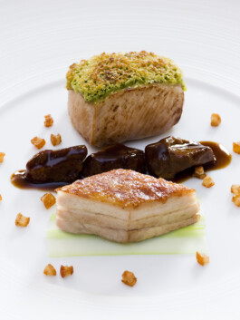 JAN C. BRETTSCHNEIDER