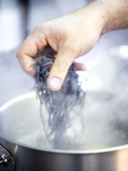 JAN C. BRETTSCHNEIDER