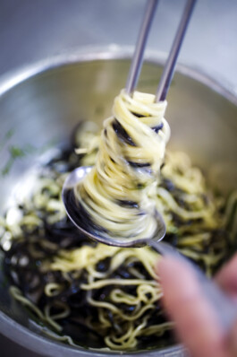 JAN C. BRETTSCHNEIDER