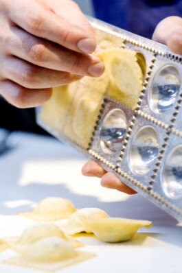 JAN C. BRETTSCHNEIDER