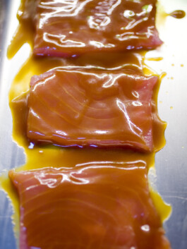 JAN C. BRETTSCHNEIDER