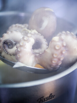 JAN C. BRETTSCHNEIDER