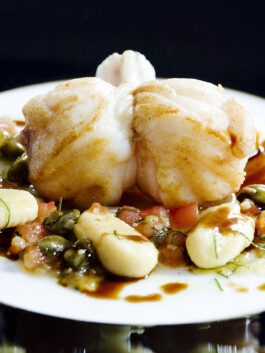 JAN C. BRETTSCHNEIDER