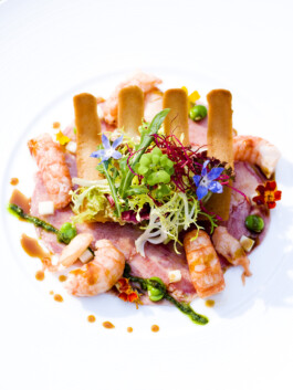 JAN C. BRETTSCHNEIDER