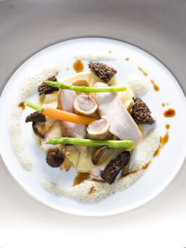 JAN C. BRETTSCHNEIDER