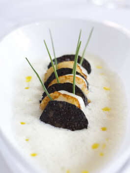 JAN C. BRETTSCHNEIDER