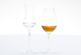 JAN C. BRETTSCHNEIDER