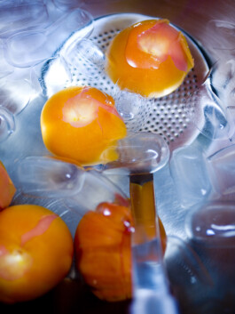 JAN C. BRETTSCHNEIDER