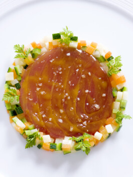 JAN C. BRETTSCHNEIDER