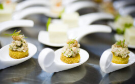 JAN C. BRETTSCHNEIDER