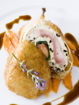 JAN C. BRETTSCHNEIDER