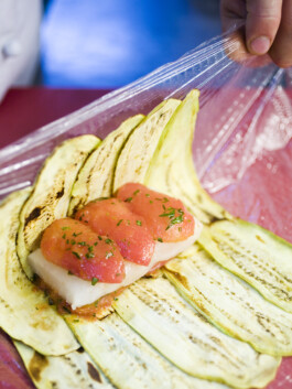 JAN C. BRETTSCHNEIDER