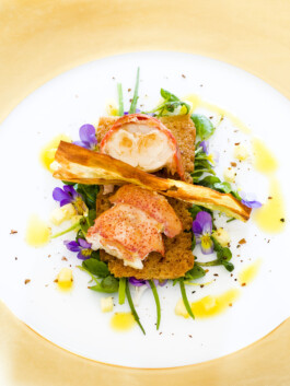 JAN C. BRETTSCHNEIDER