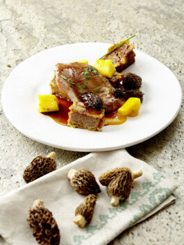 JAN C. BRETTSCHNEIDER