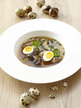 JAN C. BRETTSCHNEIDER