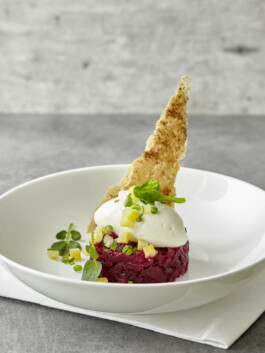 JAN C. BRETTSCHNEIDER