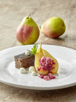 JAN C. BRETTSCHNEIDER