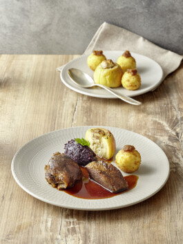 JAN C. BRETTSCHNEIDER