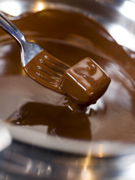 JAN C. BRETTSCHNEIDER